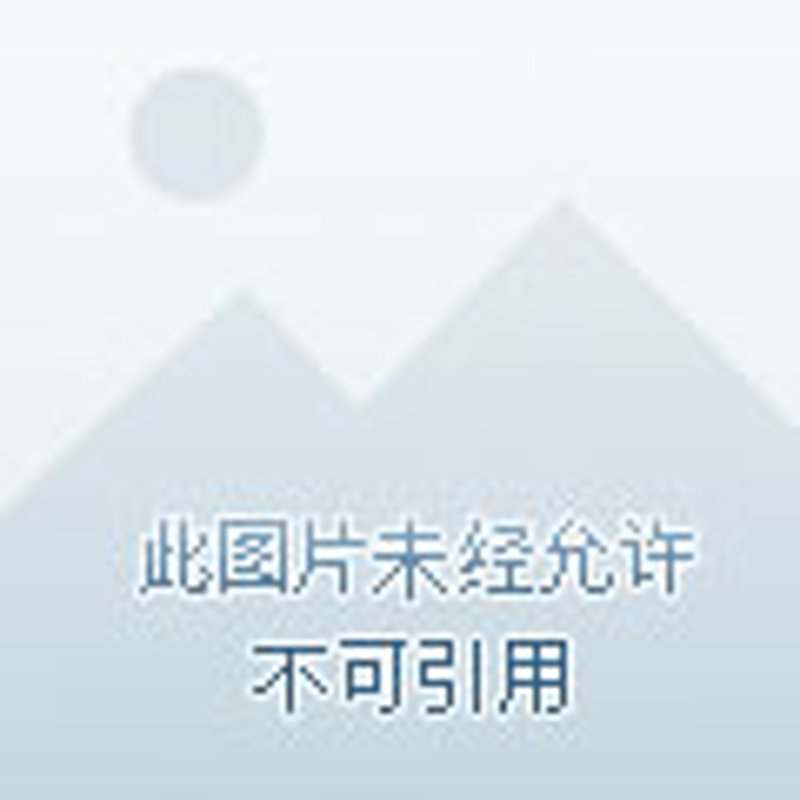 甘肃艺术发展的新航标：聚焦甘肃艺术发展基金会